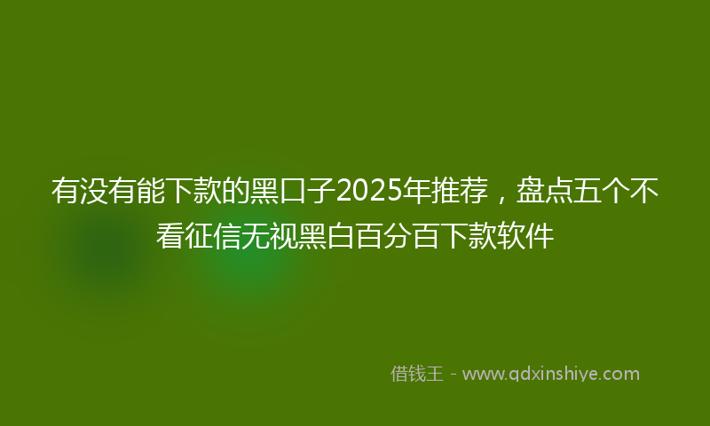 有没有能下款的黑口子2025年推荐，盘点五个不看征信无视黑白百分百下款软件