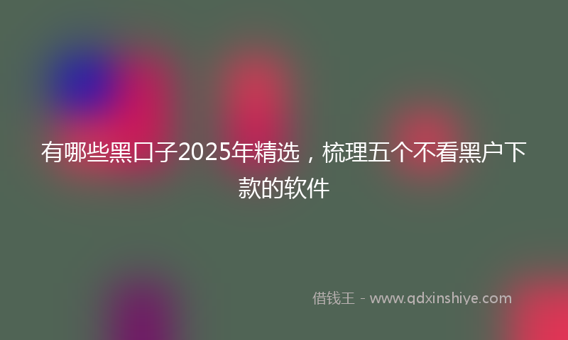 有哪些黑口子2025年精选，梳理五个不看黑户下款的软件