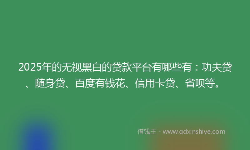 2025年的无视黑白的贷款平台有哪些有：功夫贷、随身贷、百度有钱花、信用卡贷、省呗等。