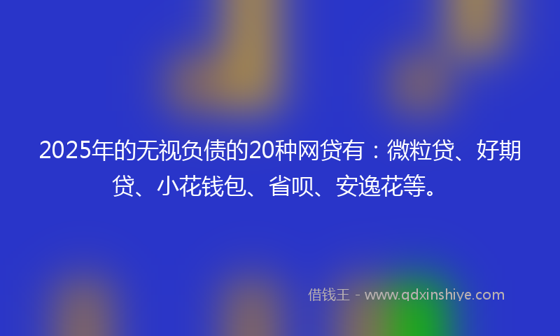 2025年的无视负债的20种网贷有：微粒贷、好期贷、小花钱包、省呗、安逸花等。