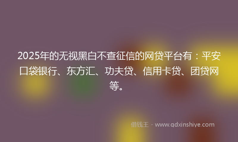 2025年的无视黑白不查征信的网贷平台有：平安口袋银行、东方汇、功夫贷、信用卡贷、团贷网等。