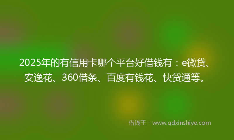 2025年的有信用卡哪个平台好借钱有：e微贷、安逸花、360借条、百度有钱花、快贷通等。