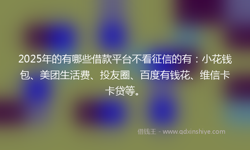 2025年的有哪些借款平台不看征信的有：小花钱包、美团生活费、投友圈、百度有钱花、维信卡卡贷等。