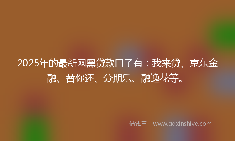2025年的最新网黑贷款口子有：我来贷、京东金融、替你还、分期乐、融逸花等。