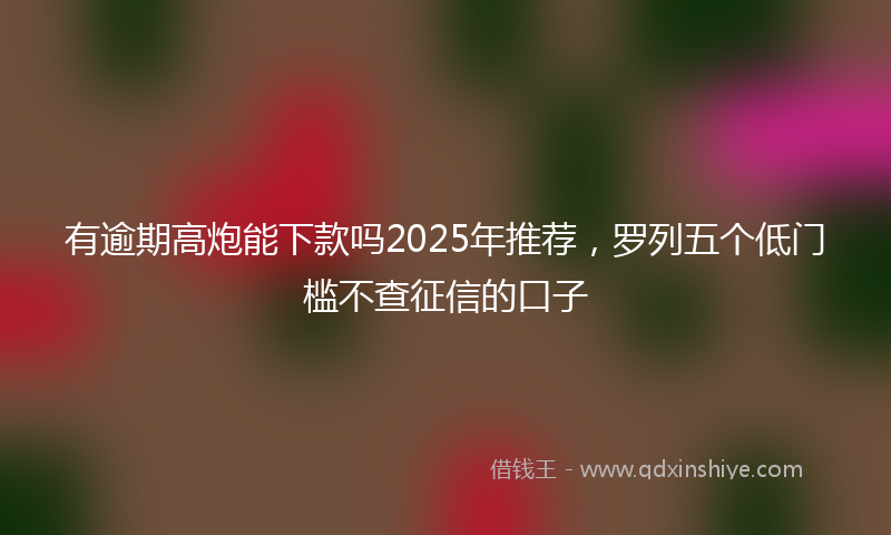 有逾期高炮能下款吗2025年推荐，罗列五个低门槛不查征信的口子