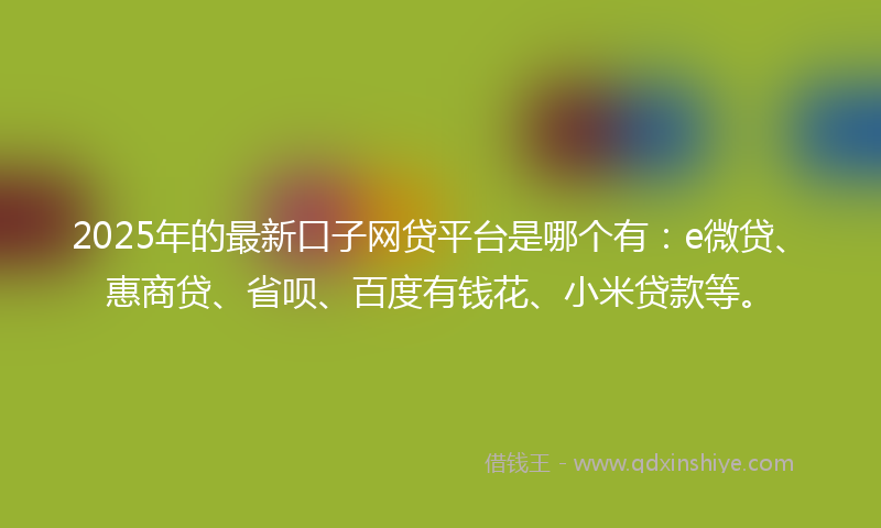2025年的最新口子网贷平台是哪个有：e微贷、惠商贷、省呗、百度有钱花、小米贷款等。
