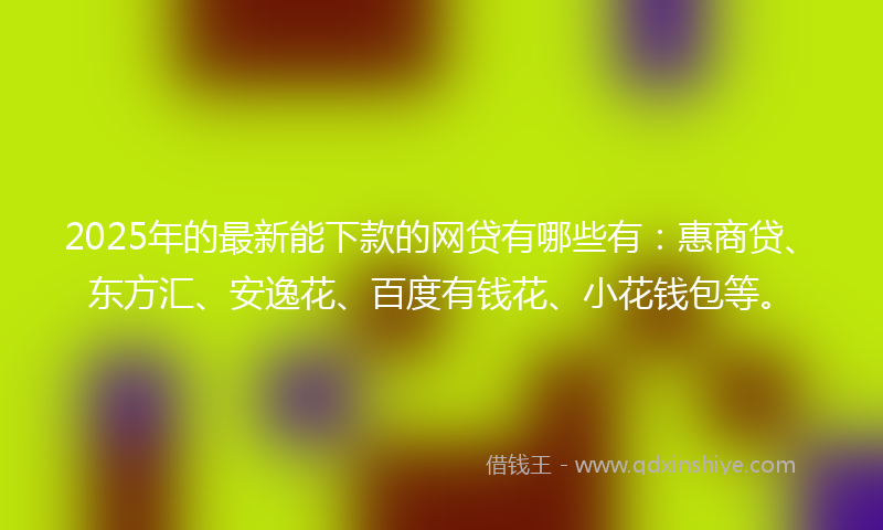 2025年的最新能下款的网贷有哪些有：惠商贷、东方汇、安逸花、百度有钱花、小花钱包等。
