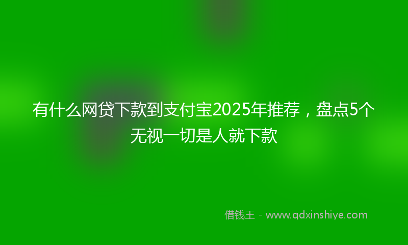 有什么网贷下款到支付宝2025年推荐，盘点5个无视一切是人就下款