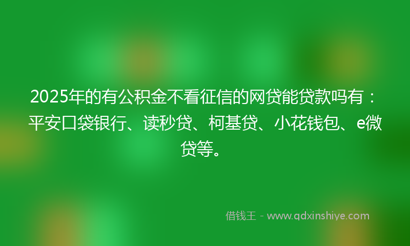 2025年的有公积金不看征信的网贷能贷款吗有：平安口袋银行、读秒贷、柯基贷、小花钱包、e微贷等。