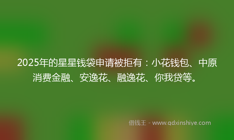 2025年的星星钱袋申请被拒有：小花钱包、中原消费金融、安逸花、融逸花、你我贷等。