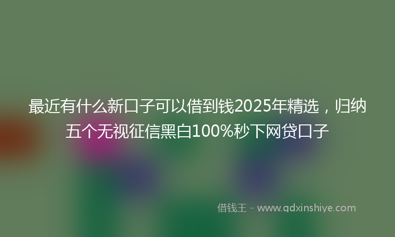 最近有什么新口子可以借到钱2025年精选，归纳五个无视征信黑白100%秒下网贷口子
