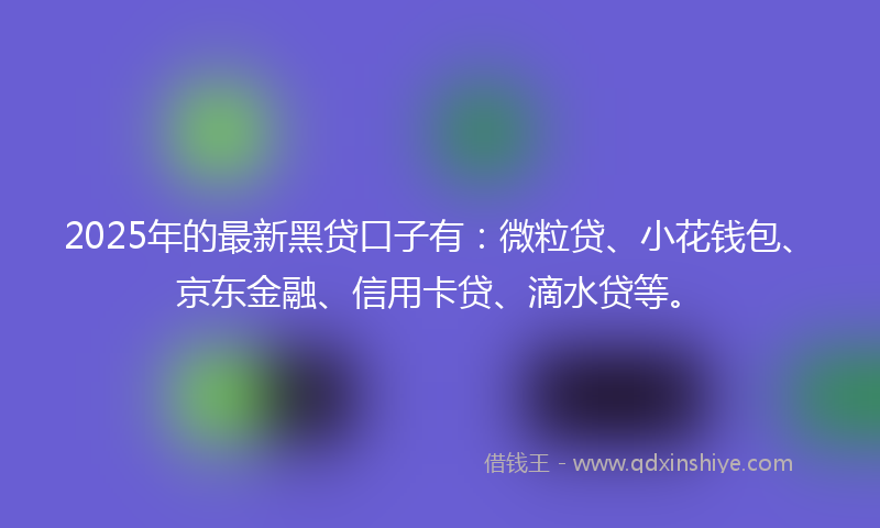2025年的最新黑贷口子有：微粒贷、小花钱包、京东金融、信用卡贷、滴水贷等。