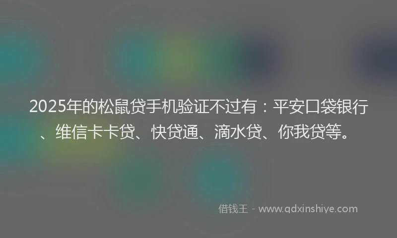 2025年的松鼠贷手机验证不过有：平安口袋银行、维信卡卡贷、快贷通、滴水贷、你我贷等。