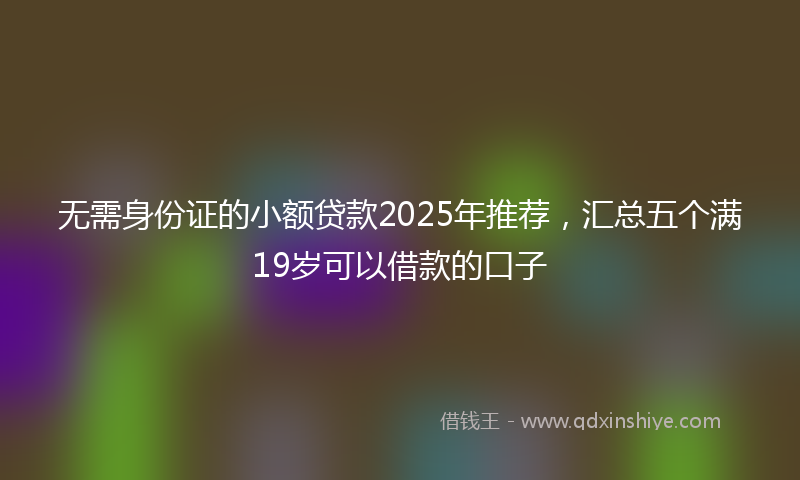 无需身份证的小额贷款2025年推荐，汇总五个满19岁可以借款的口子