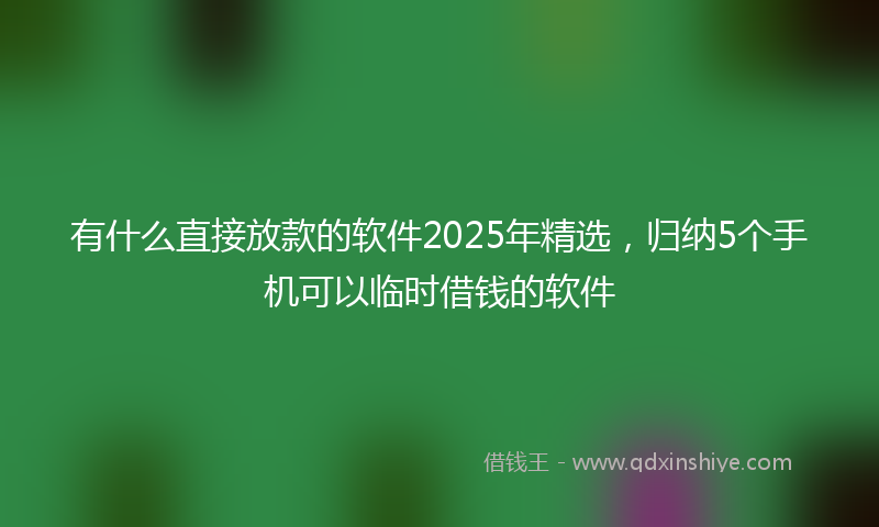 有什么直接放款的软件2025年精选，归纳5个手机可以临时借钱的软件