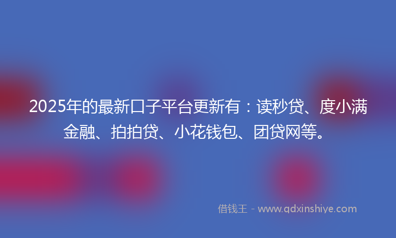 2025年的最新口子平台更新有：读秒贷、度小满金融、拍拍贷、小花钱包、团贷网等。