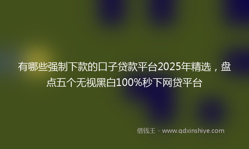 有哪些强制下款的口子贷款平台2025年精选，盘点五个无视黑白100%秒下网贷平台
