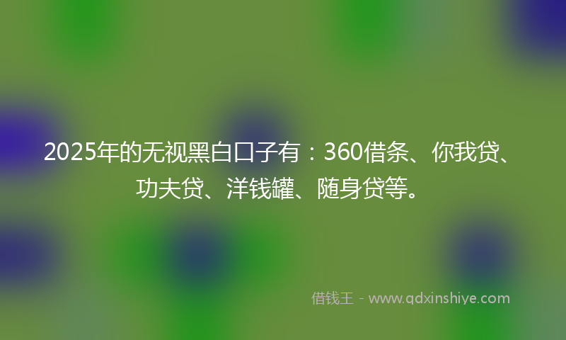 2025年的无视黑白口子有：360借条、你我贷、功夫贷、洋钱罐、随身贷等。