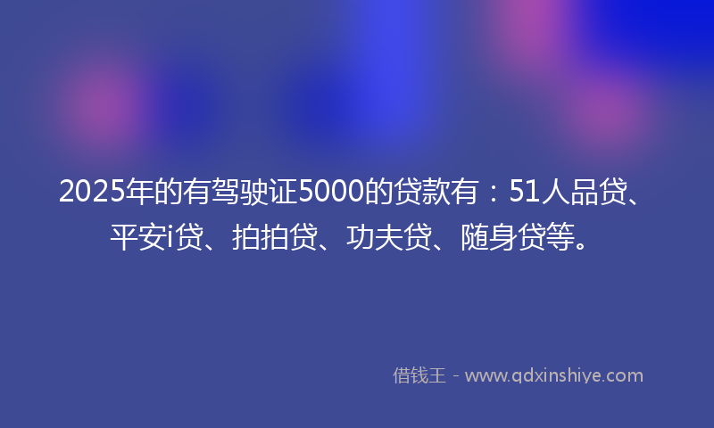 2025年的有驾驶证5000的贷款有：51人品贷、平安i贷、拍拍贷、功夫贷、随身贷等。