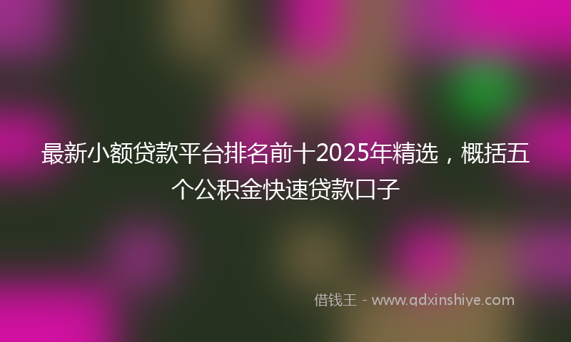 最新小额贷款平台排名前十2025年精选，概括五个公积金快速贷款口子