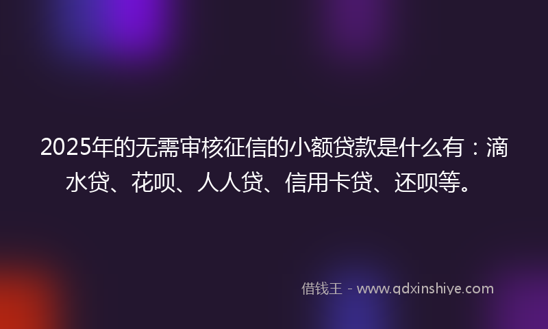 2025年的无需审核征信的小额贷款是什么有：滴水贷、花呗、人人贷、信用卡贷、还呗等。
