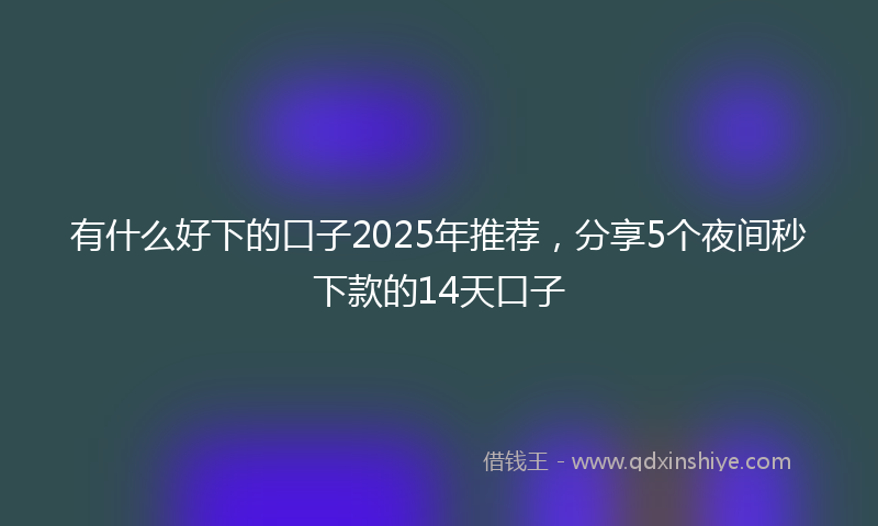 有什么好下的口子2025年推荐，分享5个夜间秒下款的14天口子