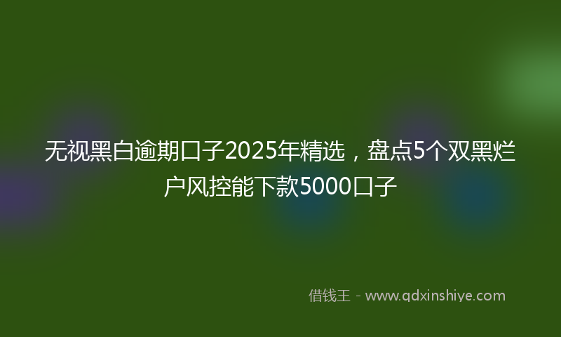 无视黑白逾期口子2025年精选，盘点5个双黑烂户风控能下款5000口子