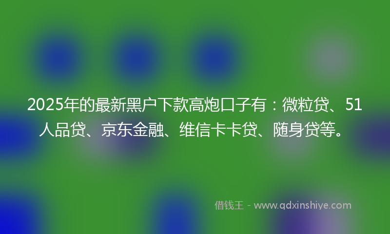 2025年的最新黑户下款高炮口子有：微粒贷、51人品贷、京东金融、维信卡卡贷、随身贷等。