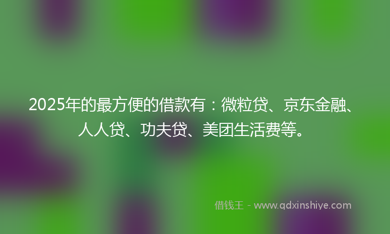 2025年的最方便的借款有：微粒贷、京东金融、人人贷、功夫贷、美团生活费等。