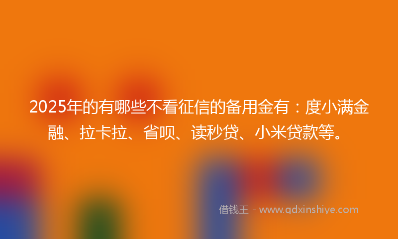 2025年的有哪些不看征信的备用金有：度小满金融、拉卡拉、省呗、读秒贷、小米贷款等。