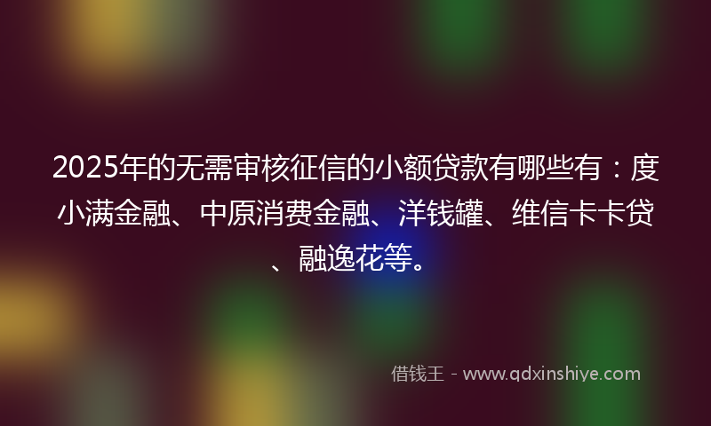 2025年的无需审核征信的小额贷款有哪些有：度小满金融、中原消费金融、洋钱罐、维信卡卡贷、融逸花等。