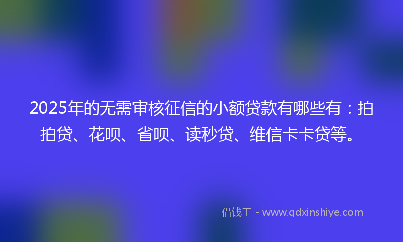 2025年的无需审核征信的小额贷款有哪些有：拍拍贷、花呗、省呗、读秒贷、维信卡卡贷等。