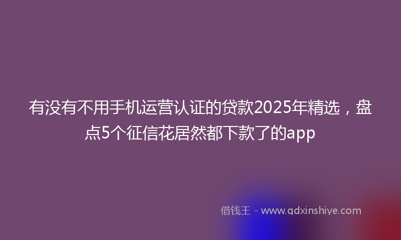 有没有不用手机运营认证的贷款2025年精选，盘点5个征信花居然都下款了的app