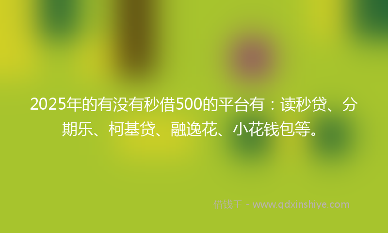 2025年的有没有秒借500的平台有：读秒贷、分期乐、柯基贷、融逸花、小花钱包等。