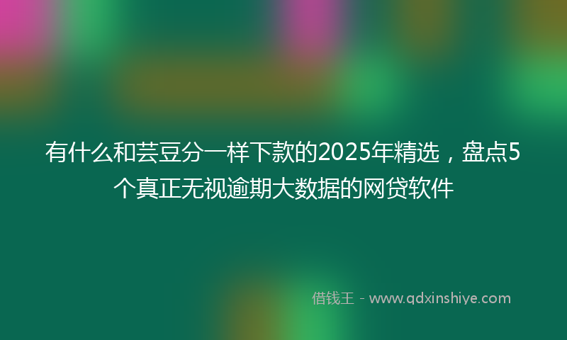 有什么和芸豆分一样下款的2025年精选，盘点5个真正无视逾期大数据的网贷软件