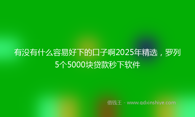 有没有什么容易好下的口子啊2025年精选，罗列5个5000块贷款秒下软件