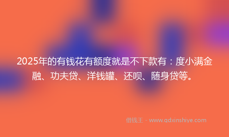 2025年的有钱花有额度就是不下款有：度小满金融、功夫贷、洋钱罐、还呗、随身贷等。