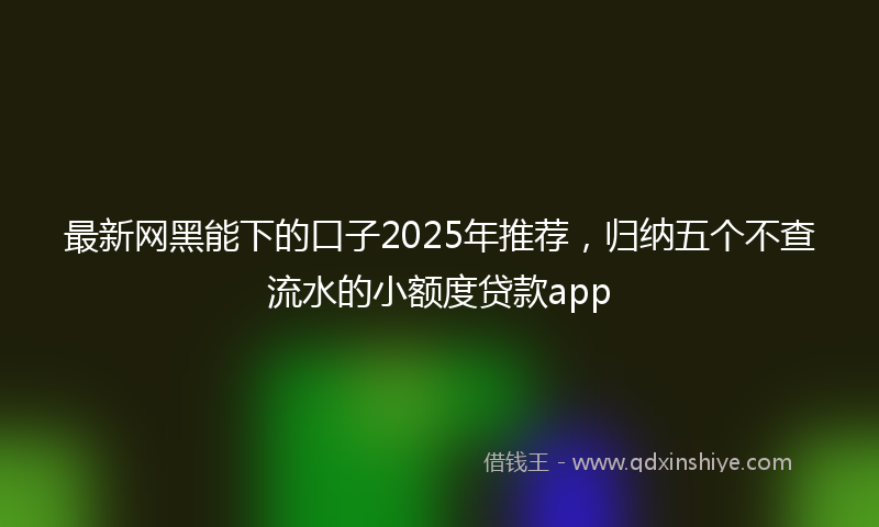 最新网黑能下的口子2025年推荐，归纳五个不查流水的小额度贷款app