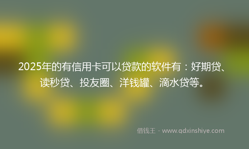 2025年的有信用卡可以贷款的软件有：好期贷、读秒贷、投友圈、洋钱罐、滴水贷等。