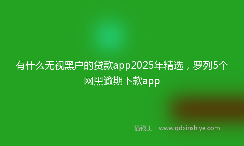 有什么无视黑户的贷款app2025年精选，罗列5个网黑逾期下款app