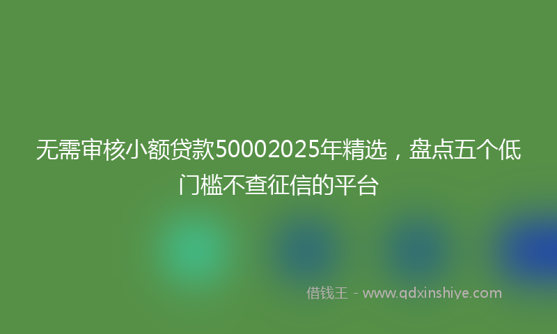 无需审核小额贷款50002025年精选，盘点五个低门槛不查征信的平台