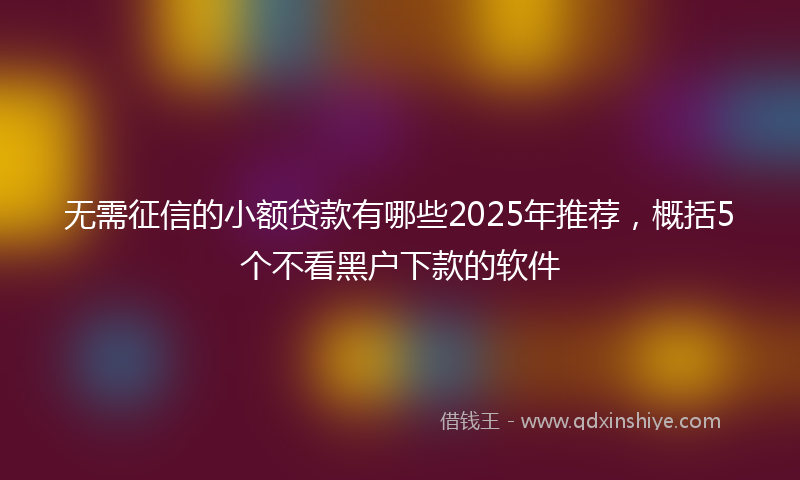 无需征信的小额贷款有哪些2025年推荐，概括5个不看黑户下款的软件