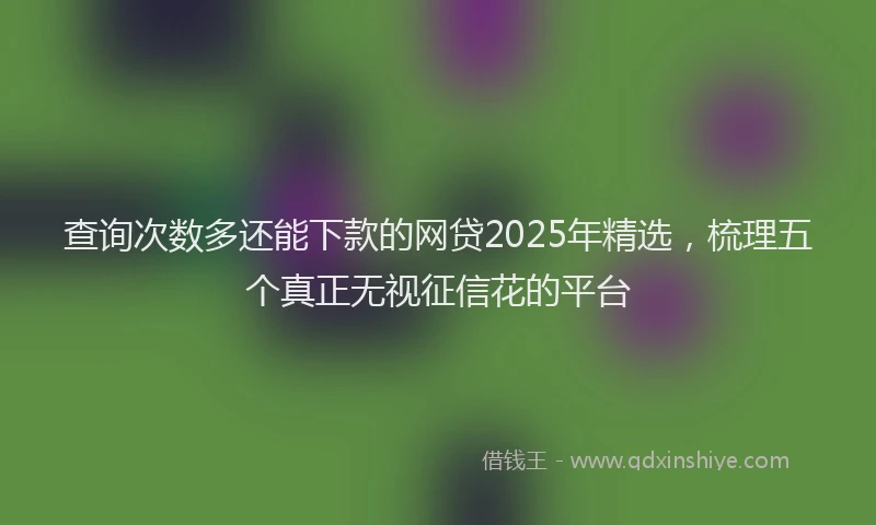 查询次数多还能下款的网贷2025年精选，梳理五个真正无视征信花的平台