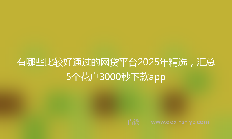 有哪些比较好通过的网贷平台2025年精选，汇总5个花户3000秒下款app