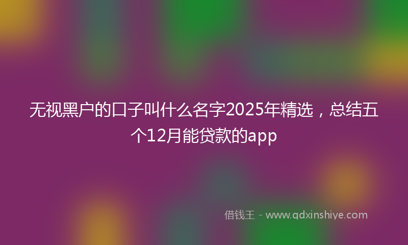无视黑户的口子叫什么名字2025年精选，总结五个12月能贷款的app