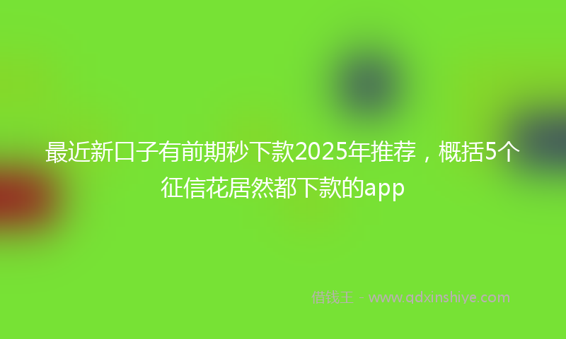 最近新口子有前期秒下款2025年推荐，概括5个征信花居然都下款的app