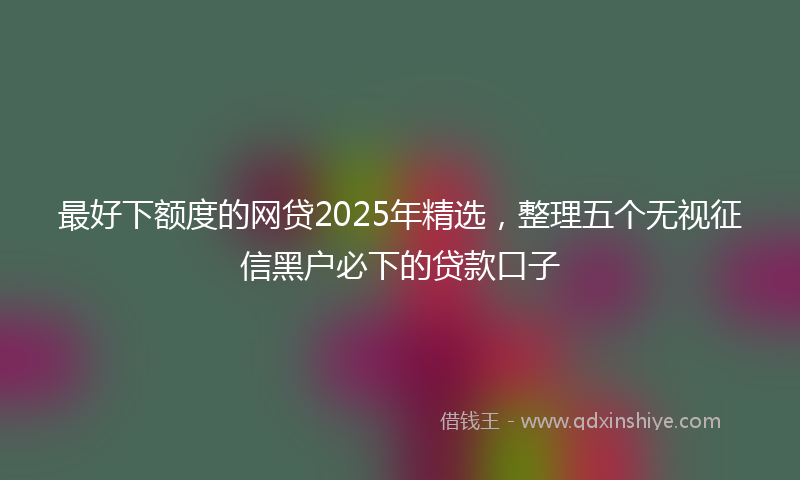 最好下额度的网贷2025年精选，整理五个无视征信黑户必下的贷款口子