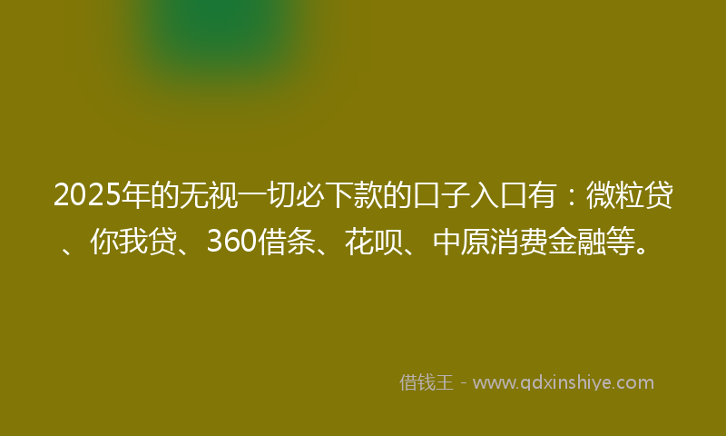 2025年的无视一切必下款的口子入口有：微粒贷、你我贷、360借条、花呗、中原消费金融等。