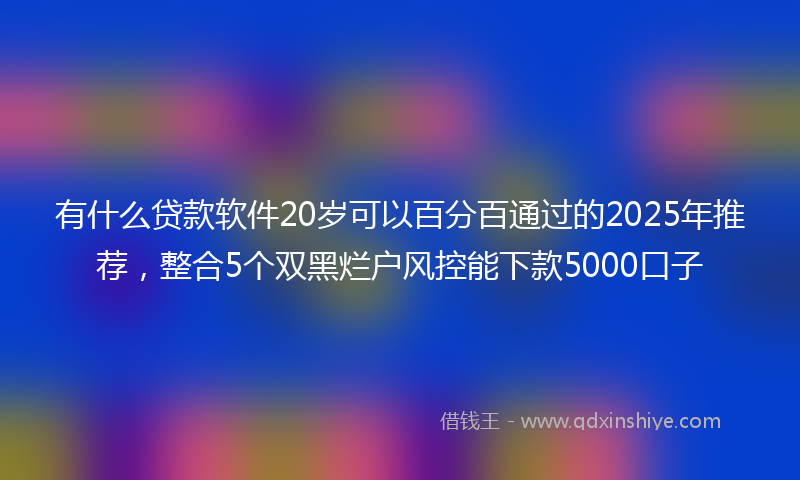有什么贷款软件20岁可以百分百通过的2025年推荐，整合5个双黑烂户风控能下款5000口子