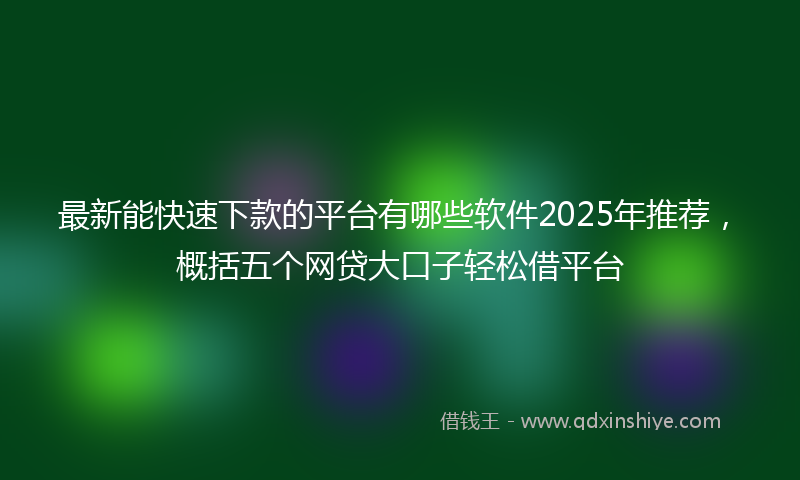 最新能快速下款的平台有哪些软件2025年推荐，概括五个网贷大口子轻松借平台
